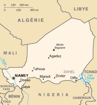 Niger: 11 soldats tués dans une attaque terotiste à la frontière algérienne