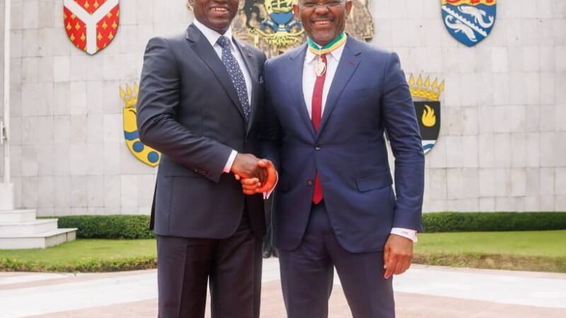 Le banquier nigerian Tony Elumelu honoré par Oligui Nguema pour son engagement pour le développement de l’Afrique