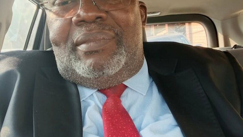 Quand le faux engagement devient sabotage de l’action publique (LJ NGOMA)