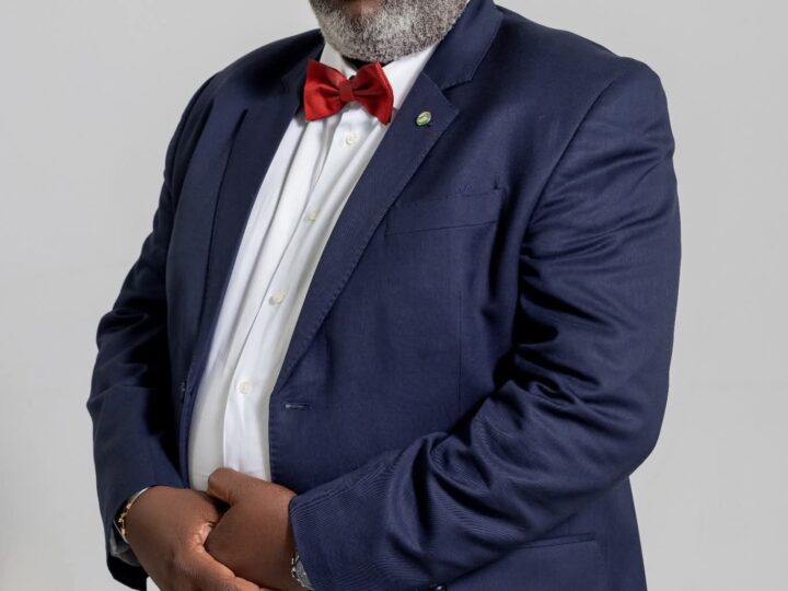 Politique-tribune: le revers de la médaille,  ou la fin d’une illusion ( Louis Jocelyn Ngoma)