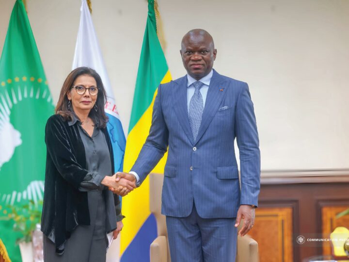 La représentante du SG de l’ONU en charge des questions de violence contre les enfants s’entretient avec Oligui Nguema