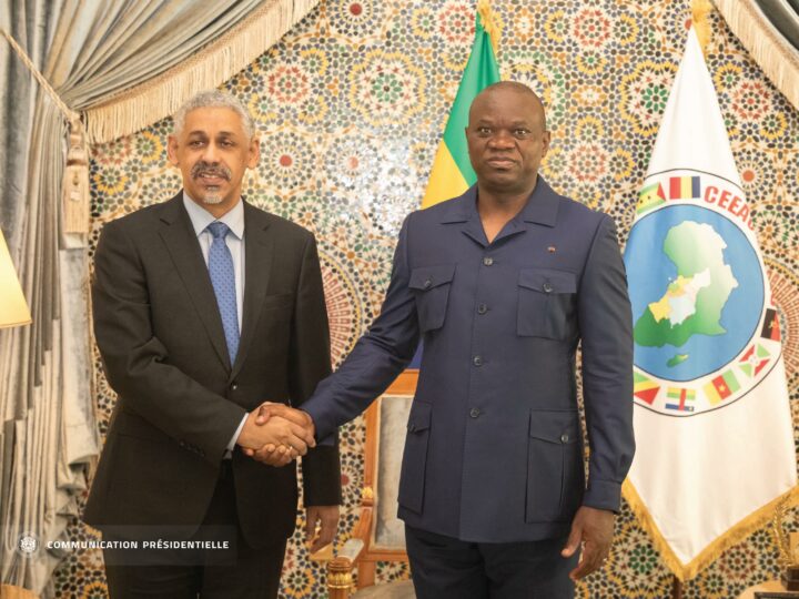 La BAD prêt à soutenir le Gabon dans son développement