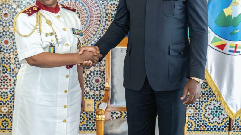 Le DG de la CNAMGS chez Oligui Nguema