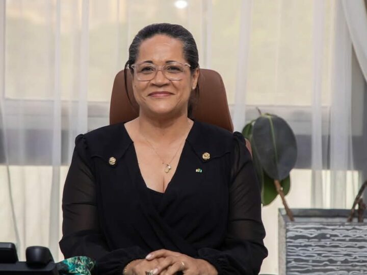 Gabon: Le nouveau gouvernement