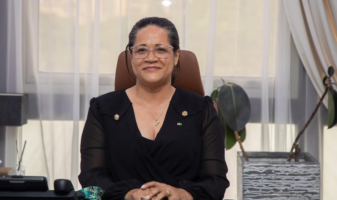 Gabon: Le nouveau gouvernement